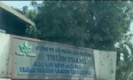 Công ty môi trường bị tố chôn lấp hàng ngàn tấn rác thải trái phép