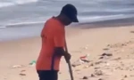 Nhân viên khu du lịch chôn rác ngay tại bãi biển Mũi Né