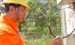 1 năm, hơn 30 vụ mất trộm vật tư, thiết bị lưới điện ở Đồng Nai 