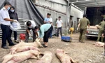 Phát hiện gần 7 tấn thịt heo chết tại cơ sở giết mổ lậu ở Đồng Nai