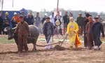 Cụ ông ở Hà Nam nhiều năm đóng vai vua ở lễ hội Tịch điền