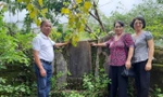 Đề xuất khai quật mộ cổ nghi của Hồ Xuân Hương: Không thể tùy tiện đào mộ vô chủ