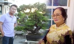 Nhà ở Mỹ của Bằng Kiều bị trộm đột nhập, mất cây bonsai đắt đỏ