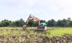 Chuyển mục đích sử dụng đất lúa, đất rừng làm dự án có nhiều điểm mới