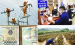 Quy định mới về giá điện, đăng ký thuế từ tháng 2