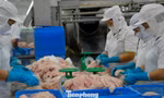 Cá tra Việt Nam bán cho Trung Quốc nhiều nhất