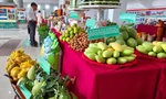 Nhiều loại rau quả rớt giá, ngành hàng này vẫn tăng trưởng xuất khẩu 2 con số
