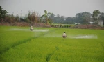 Vùng ĐBSCL sử dụng phân bón hóa học, thuốc bảo vệ thực vật quá mức