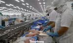 Xuất khẩu cá tra tăng mạnh
