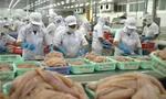 Xuất khẩu thủy sản cán đích 10 tỷ USD, nhưng... 