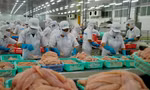 Xuất khẩu thủy sản sang Philippines tăng gấp 5 lần so với cùng kỳ năm ngoái