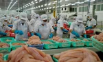 Xuất khẩu thủy sản sang Philippines tăng gấp 5 lần so với cùng kỳ năm ngoái