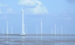 Hé lộ doanh nghiệp muốn làm dự án điện gió 4,5 tỷ USD ở Trà Vinh