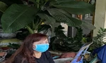 Bắt giam người phụ nữ theo xe 'luồng xanh' làm lây lan dịch bệnh ở Hậu Giang