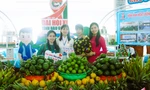 Muôn màu cây trái, đặc sản bên lề Đại hội Đoàn tỉnh Hậu Giang