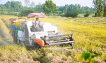 25- 30% tổng lượng khí thải ở Việt Nam từ sản xuất nông nghiệp 