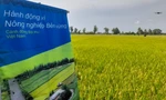 Lúa chất lượng cao: Một số nơi lúng túng, quá quan tâm bán tín chỉ carbon
