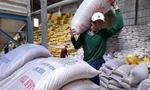 Xuất khẩu gạo Việt Nam có thể vượt 6,5 triệu tấn 