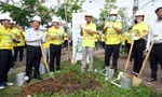 Đại biểu khách mời tham gia trồng cây tại thị xã Ngã Năm (Sóc Trăng).