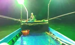 Câu mực mé của ngư dân ven biển Cà Mau có thể thu 2 triệu đồng/đêm