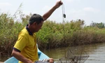 Nắng nóng kéo dài, tôm sú và cua biển của người dân Kiên Giang chết rải rác