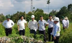 Phương án xử lý bãi rác 'khủng' nằm chắn cao tốc Cần Thơ – Cà Mau
