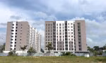 Chậm bàn giao nhà ở xã hội, cư dân Golden City kêu cứu