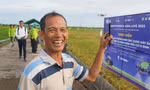 Nông dân phấn khởi