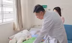 Mải xem điện thoại, bé gái 6 tuổi đứt gần lìa cẳng chân vì kẹt vào cửa thang máy 
