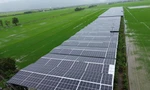 'Bỏ túi' tiền tỷ khi làm nông kết hợp sản xuất điện mặt trời 