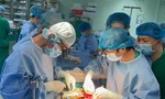 Lần đầu thực hiện ghép thận thành công tại vùng Đồng bằng sông Cửu Long