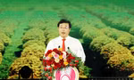 Khai hội Festival hoa kiểng Sa Đéc