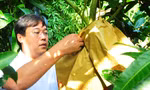 Bí thư Tỉnh ủy Đồng Tháp Lê Quốc Phong