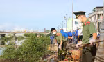 Tuổi trẻ Bạc Liêu thu gom hơn 15 tấn rác thải, nhựa