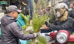 Hương mùi già về phố, báo hiệu Tết rất gần