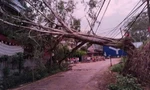 Mưa dông lốc xoáy ở Yên Bái, một người bị cây gãy đổ đè trúng