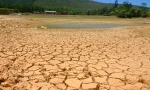 Hồ chứa nước ‘phơi bụng’, ruộng đồng bỏ hoang vì nắng nóng kéo dài