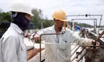 Hối hả trên công trường cao tốc Bến Lức - Long Thành