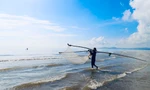 Ngư dân xứ Nghệ rộn ràng mùa thu hoạch ruốc biển