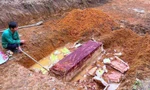 Đào móng làm nhà, phát hiện quan tài cổ 'trong quan ngoài quách'