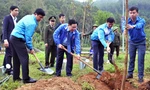 Trồng hơn 3 triệu cây xanh sau lễ ra quân hưởng ứng Tết trồng cây