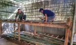 Giáo viên rẻo cao chẻ tre, đan nứa dựng phòng ở cho học sinh bán trú