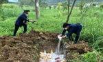 Nghệ An: Vi phạm quy định vệ sinh an toàn thực phẩm bị phạt hơn 3 tỷ đồng