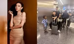 Vì sao Hoa hậu Thùy Tiên không đến tiễn Quang Linh Vlogs và Lôi Con về Angola?