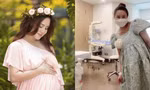 Vy Oanh cuối cùng đã lâm bồn sau hàng loạt biến cố, tuyên bố một quyết định động trời