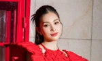 Khỏi cần đồn đoán nữa, đến đồng nghiệp cũng ẩn ý chuyện Hoa hậu Tiểu Vy hẹn hò?