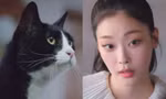 Phim Hàn thú vị nhất hiện nay: Một nữ diễn viên tỏa sáng nhờ đóng vai con mèo