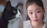 Phim Hàn thú vị nhất hiện nay: Một nữ diễn viên tỏa sáng nhờ đóng vai con mèo