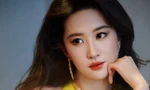 Vì sao Lưu Diệc Phi lại “sống chết” với giải Bạch Ngọc Lan đến mức bị chỉ trích?