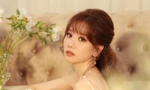 Nguyên cớ nào khiến cư dân mạng ồ ạt đăng ảnh Hari Won bên người yêu cũ 9 năm?